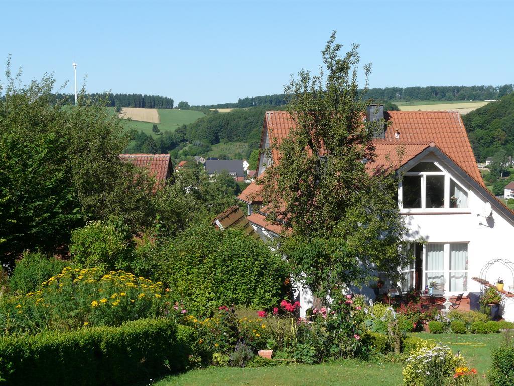Апартаменты Haus Mit Aussicht Хорн-Бад-Майнберг Экстерьер фото