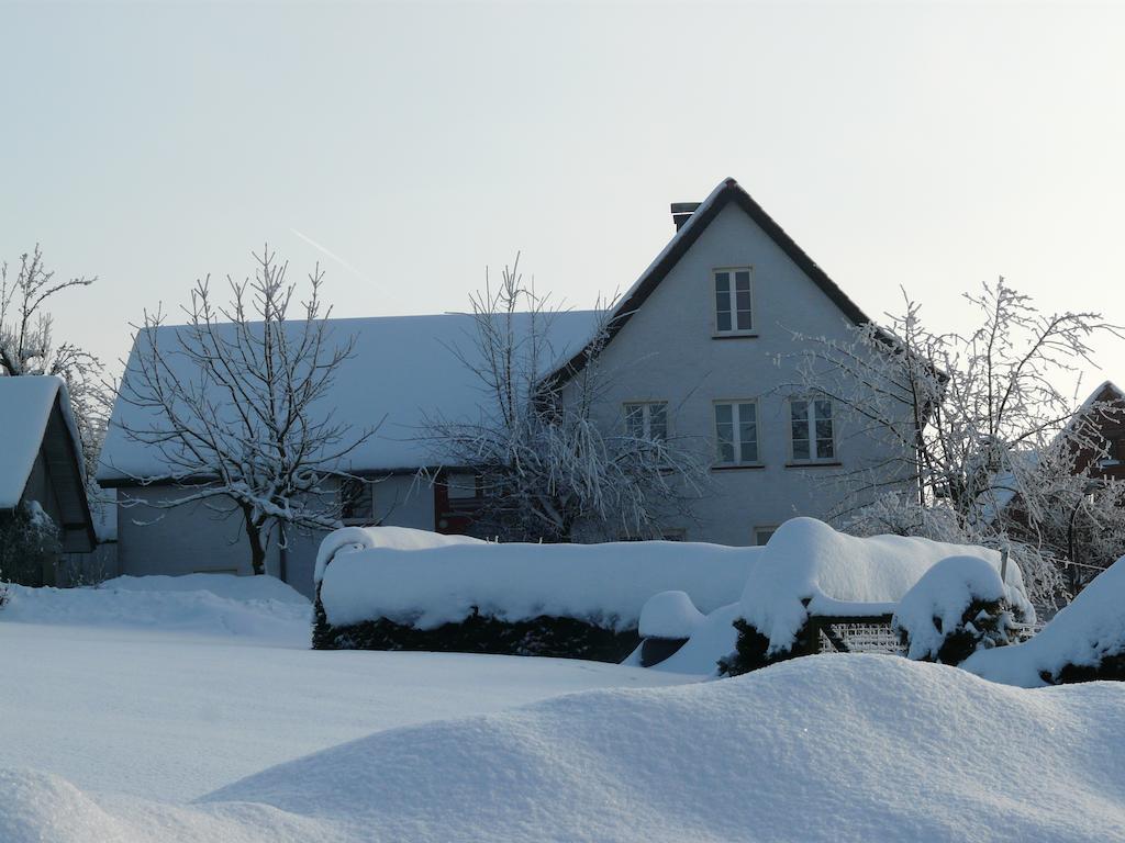Апартаменты Haus Mit Aussicht Хорн-Бад-Майнберг Экстерьер фото